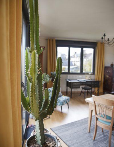 Décoration d'un salon-salle à manger à Caen - Cactus avec vue sur le coin bureau, par CREA DECO, Décoratrice UFDI à Honfleur, Deauville, Caen - 14