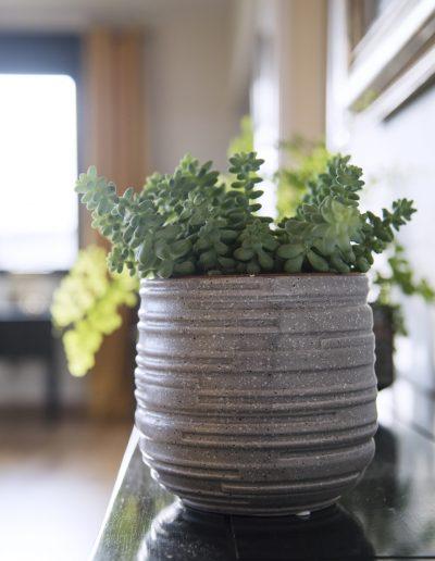 Décoration d'un salon-salle à manger à Caen - Petite plante sur meuble, par CREA DECO, Décoratrice UFDI à Honfleur, Deauville, Caen - 14